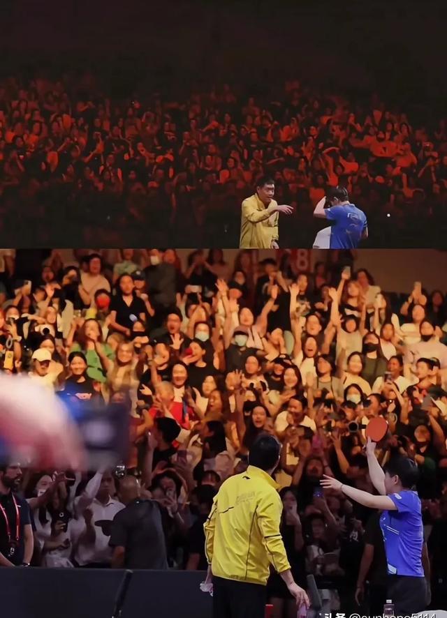 团体赛场激战，观众为之欢呼