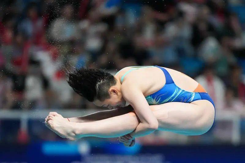 日本跳水运动员夺冠斩获金牌