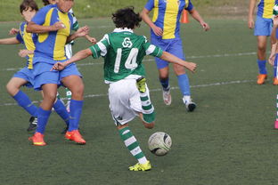 半岛体育活动-重庆当代力帆新援表现抢眼，助球队逆转