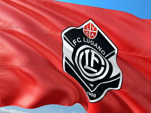 德国队主帅洛夫将进行阵容调整，迎战瑞士